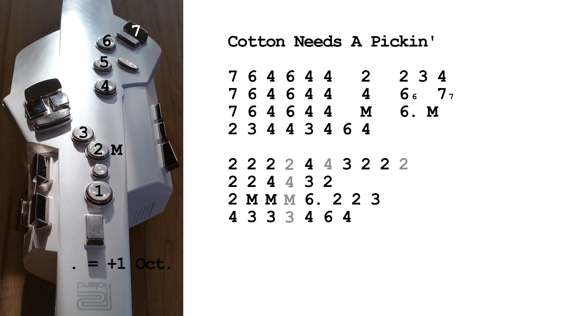 Aerophone spielen lernen nach Zahlen: Cotton Needs A Pickin'