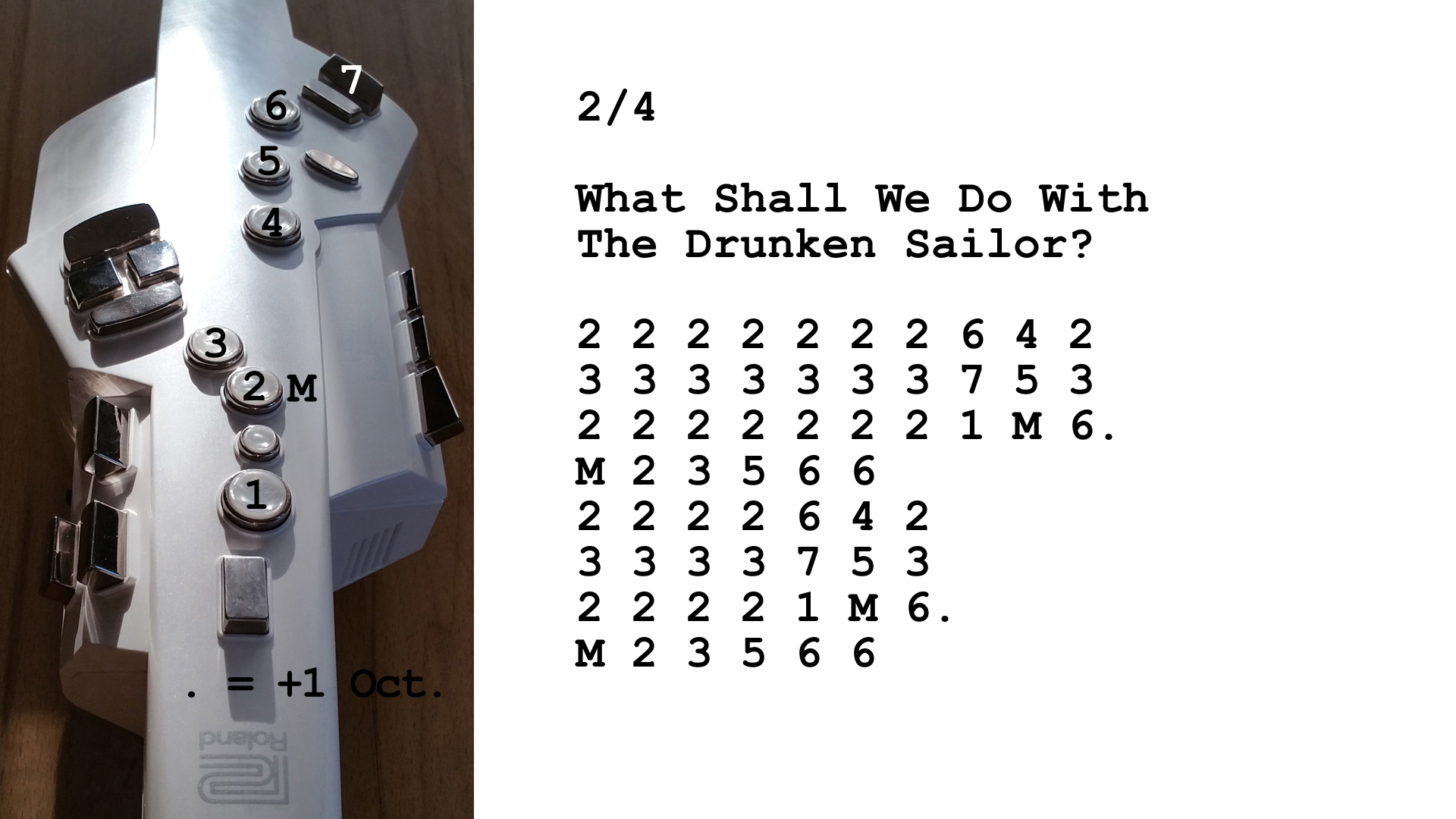 Aerophone spielen lernen nach Zahlen: What Shall We Do With The Drunken Sailor